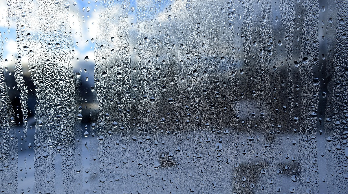 Чому на вікнах з’являється конденсат та як позбутися плісняви: спосіб, який точно спрацює