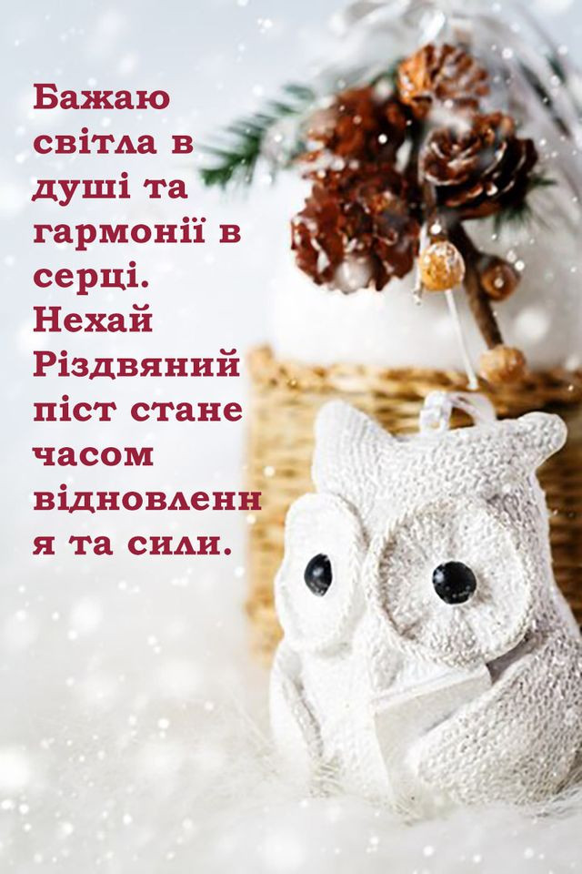 Привітання у Різдвяний піст 2025 - фото 574312