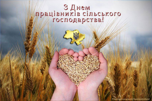 Привітання у День працівників сільського господарства - фото 574552