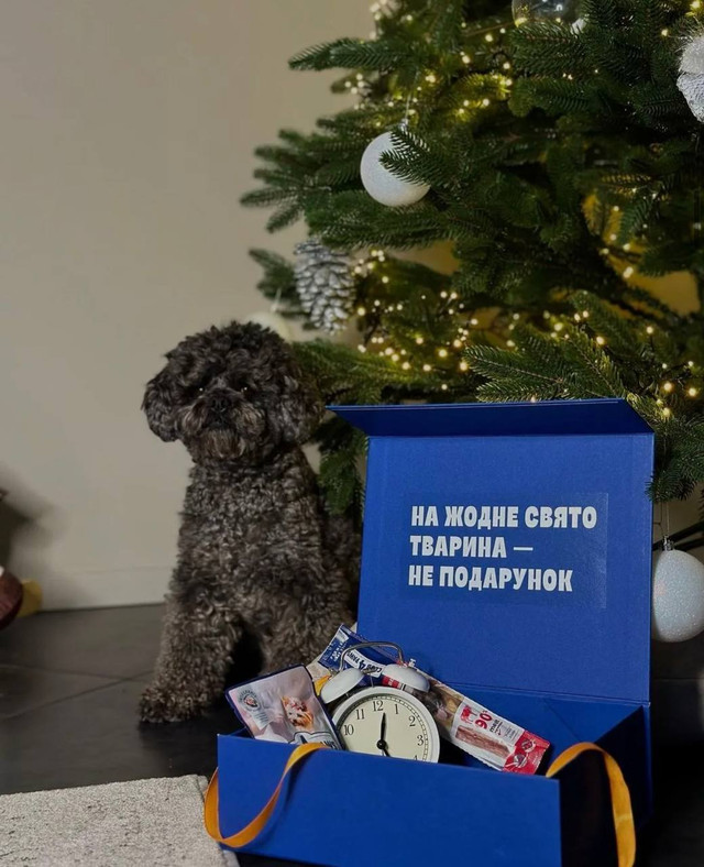 Домашні улюбленці зірок, які схожі на своїх господарів: милі фото до Дня домашніх тварин - фото 574952