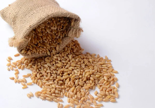 Ворожіння на День великомучениці Варвари: як дізнатися свою долю - фото 575887