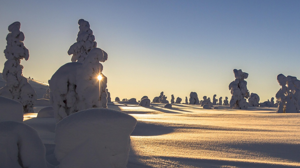 День зимового сонцестояння - фото 1