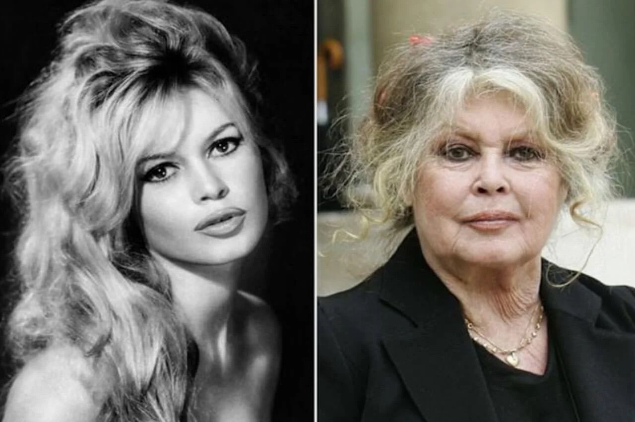 91-річну Бріжит Бардо знову госпіталізували: що відомо про її стан