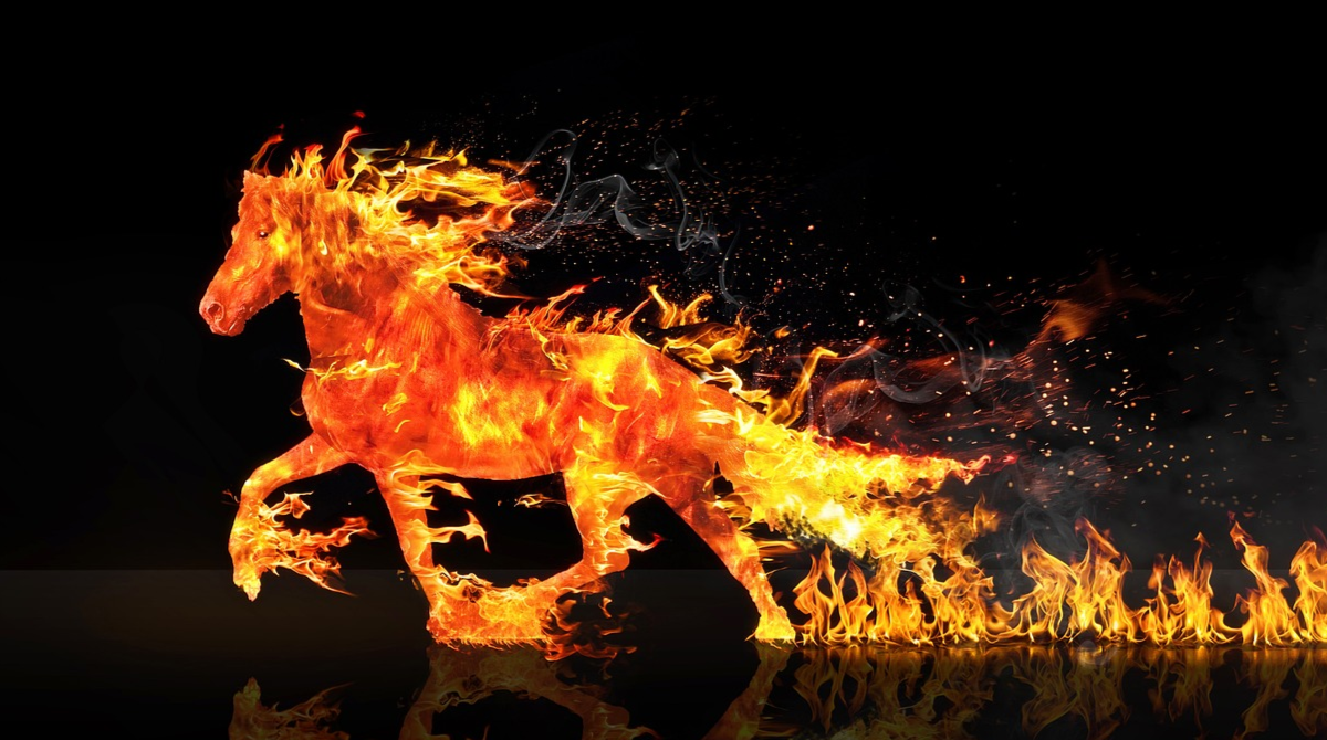 Яка тварина символізує 2026 рік і чого від неї чекати