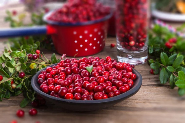 Журавлина чи гранат: що насправді корисніше і який фрукт варто додати у раціон взимку - фото 576551