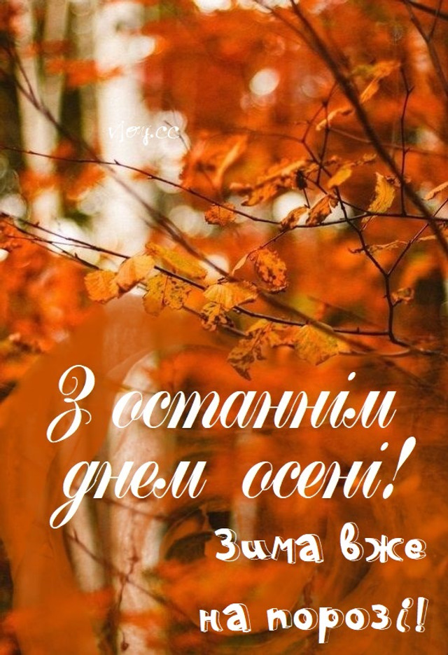 Що побажати 30 листопада рідним - фото 576668