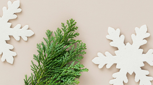 Зима без сплячки – топ 10 гарячих справ, які обов'язково треба запланувати - фото 577264