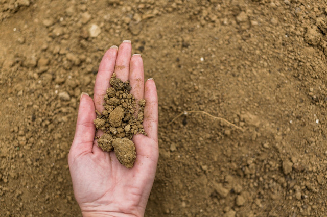 Яке свято відзначають 5 грудня: традиції, заборони і прикмети на цей день - фото 577396
