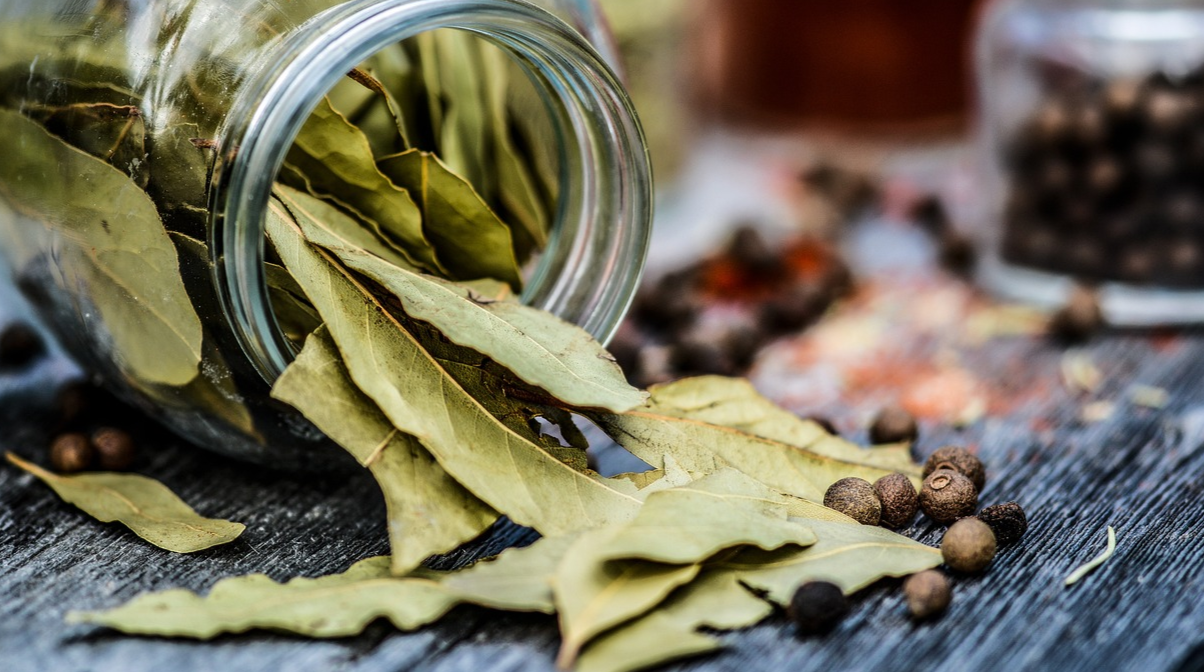 Лавровий лист у кишені верхнього одягу: навіщо це роблять господині та який ефект він має