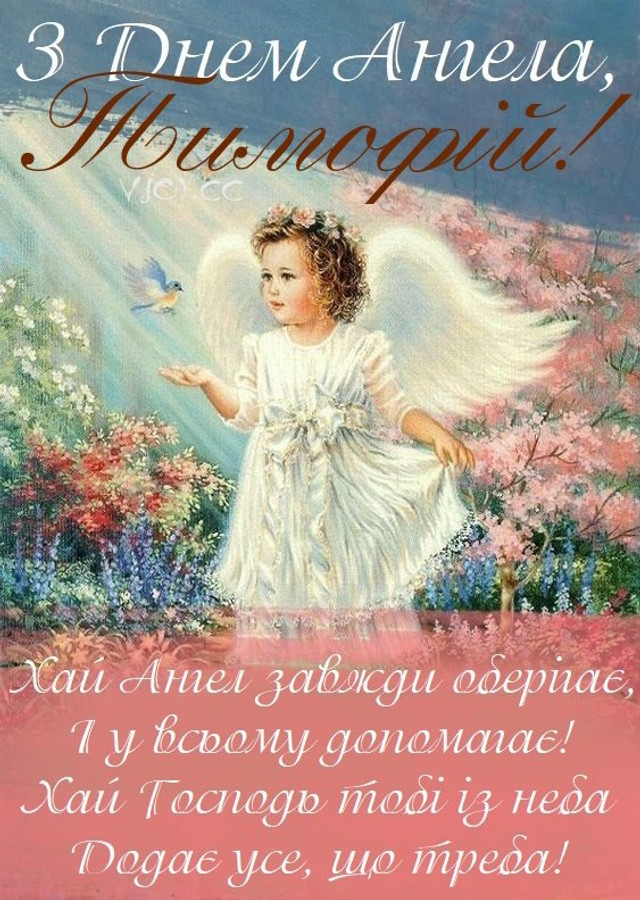 День ангела Тимофія 19 грудня - фото 579425