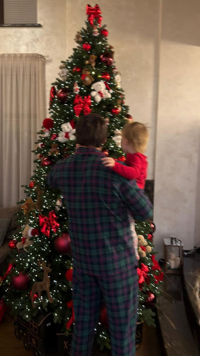 Мінімалізм чи класика: як українські зірки прикрасили свої ялинки - фото 579447