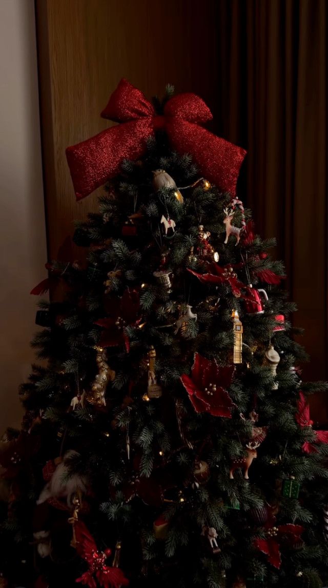 Мінімалізм чи класика: як українські зірки прикрасили свої ялинки - фото 579452