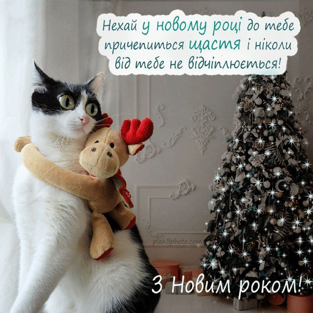 Свято без нудьги: веселі новорічні привітання, які заряджають настроєм - фото 579880
