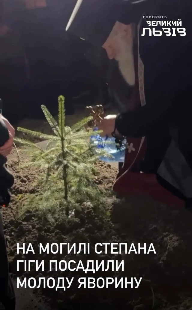 Писали, що на могилі Гіги нібито посадили яворину - фото 580006