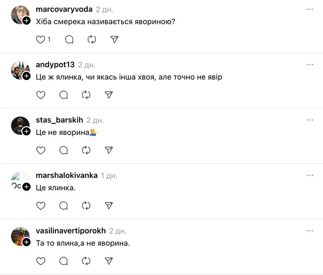 Мережа пояснила, яке дерево насправді посадили - фото 580007