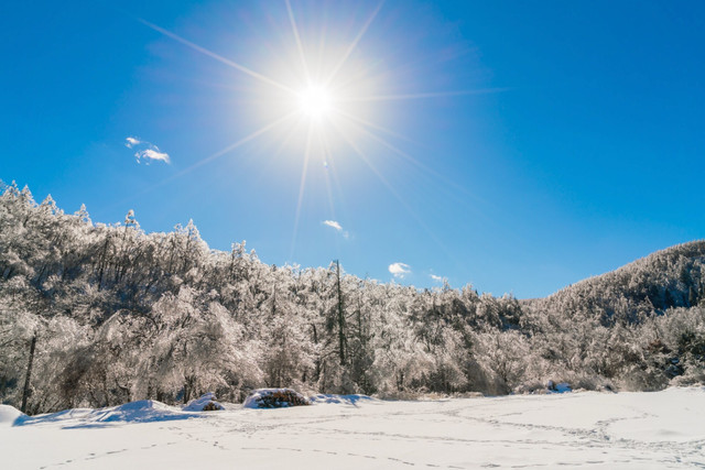 Яке свято відзначають 21 грудня: традиції, заборони і прикмети на цей день - фото 580215