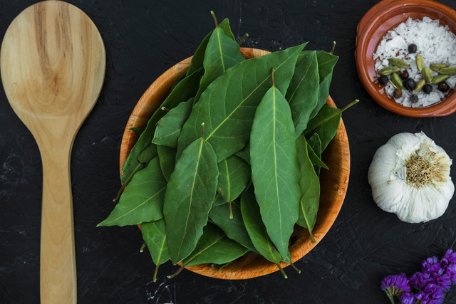 Покладіть це на підвіконня – і забудьте про конденсат та вологу назавжди - фото 582012