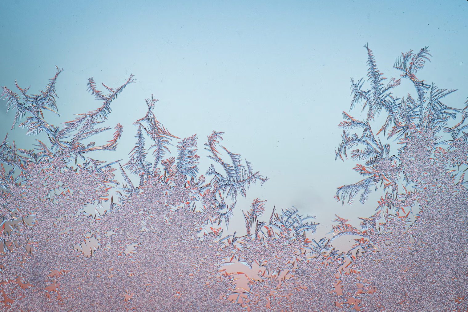 Ви здивуєтесь, що "вбило" морозні візерунки на вікнах: справа не тільки в погоді