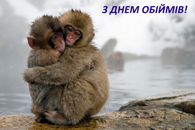 Картинки з теплом і турботою: як привітати з Днем обіймів - фото 584096