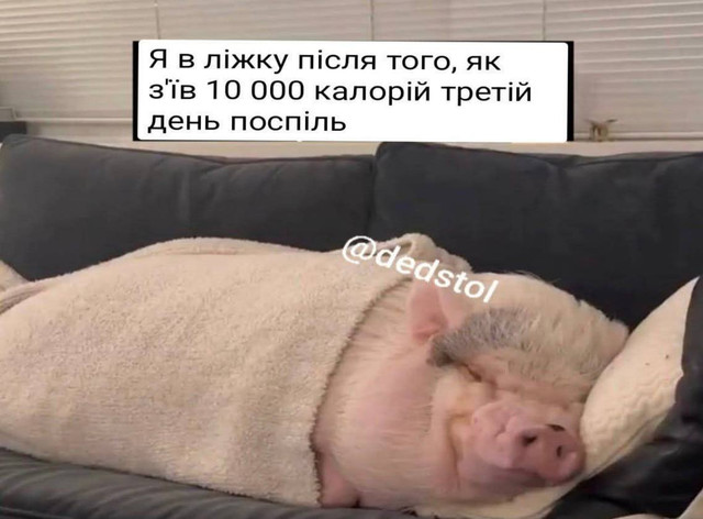 Час посміятися після свят: які меми та жарти про Старий Новий рік знову підкорили мережу - фото 584377