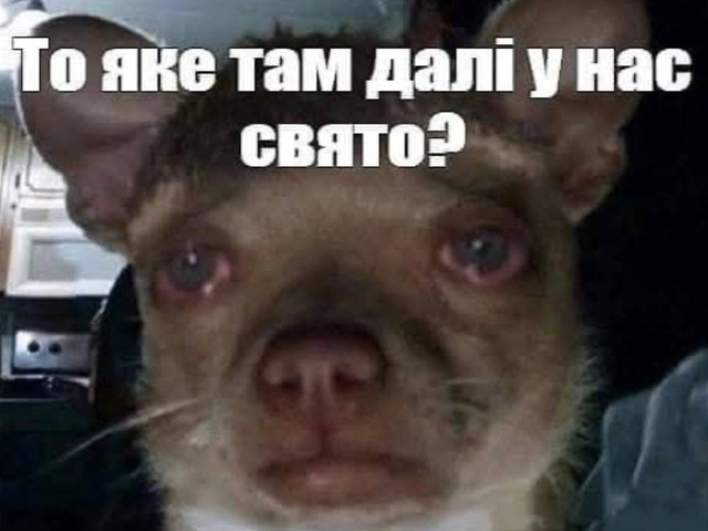 Час посміятися після свят: які меми та жарти про Старий Новий рік знову підкорили мережу - фото 584380