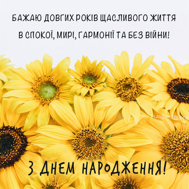 Не банально і від душі: як красиво привітати з Днем народження - фото 586862
