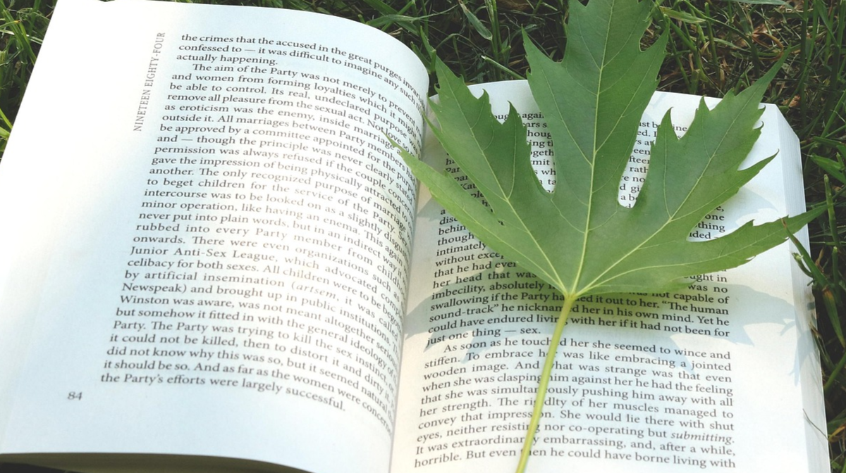 Читання книг щодня продовжує життя - фото 1