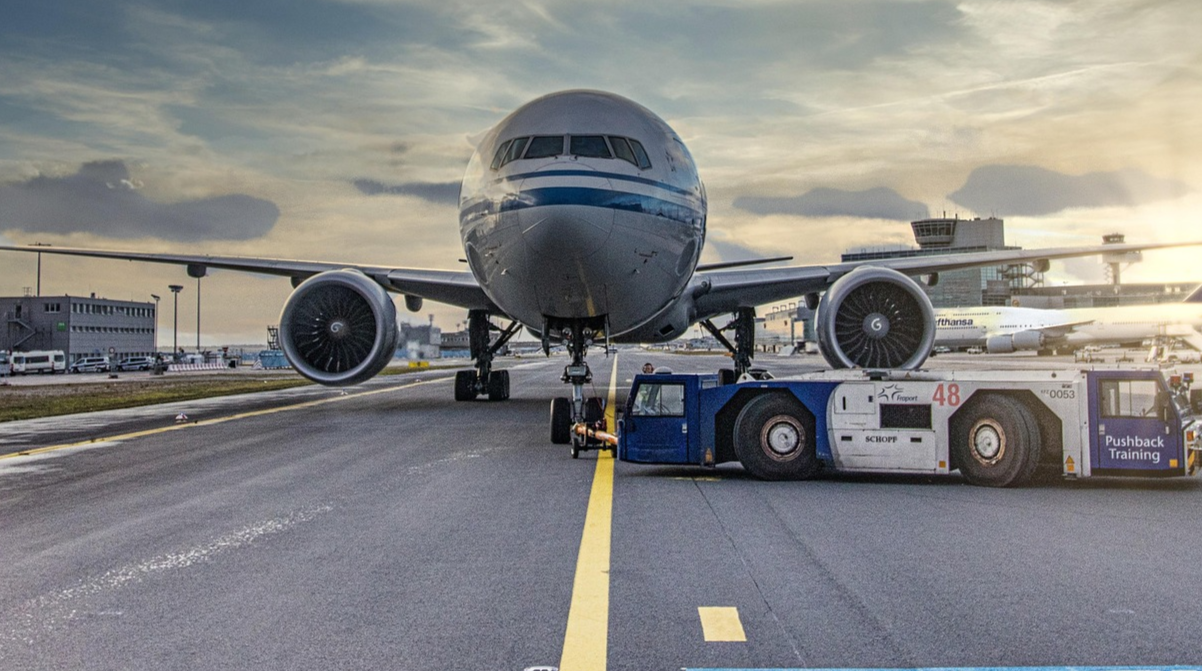 Подорож із собакою літаком - фото 1