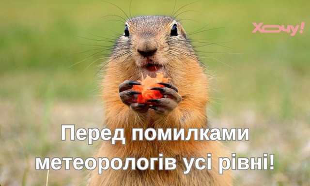 День бабака 2 лютого - фото 590206