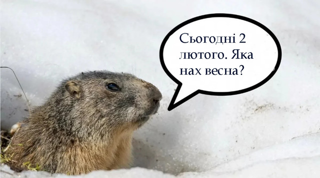 День бабака 2 лютого - фото 590213