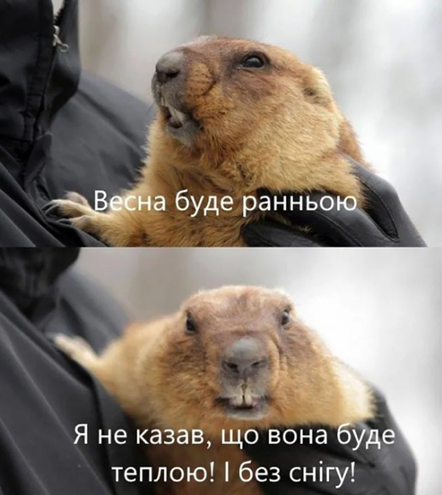 День бабака 2 лютого - фото 590214