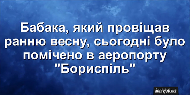 День бабака 2 лютого - фото 590215