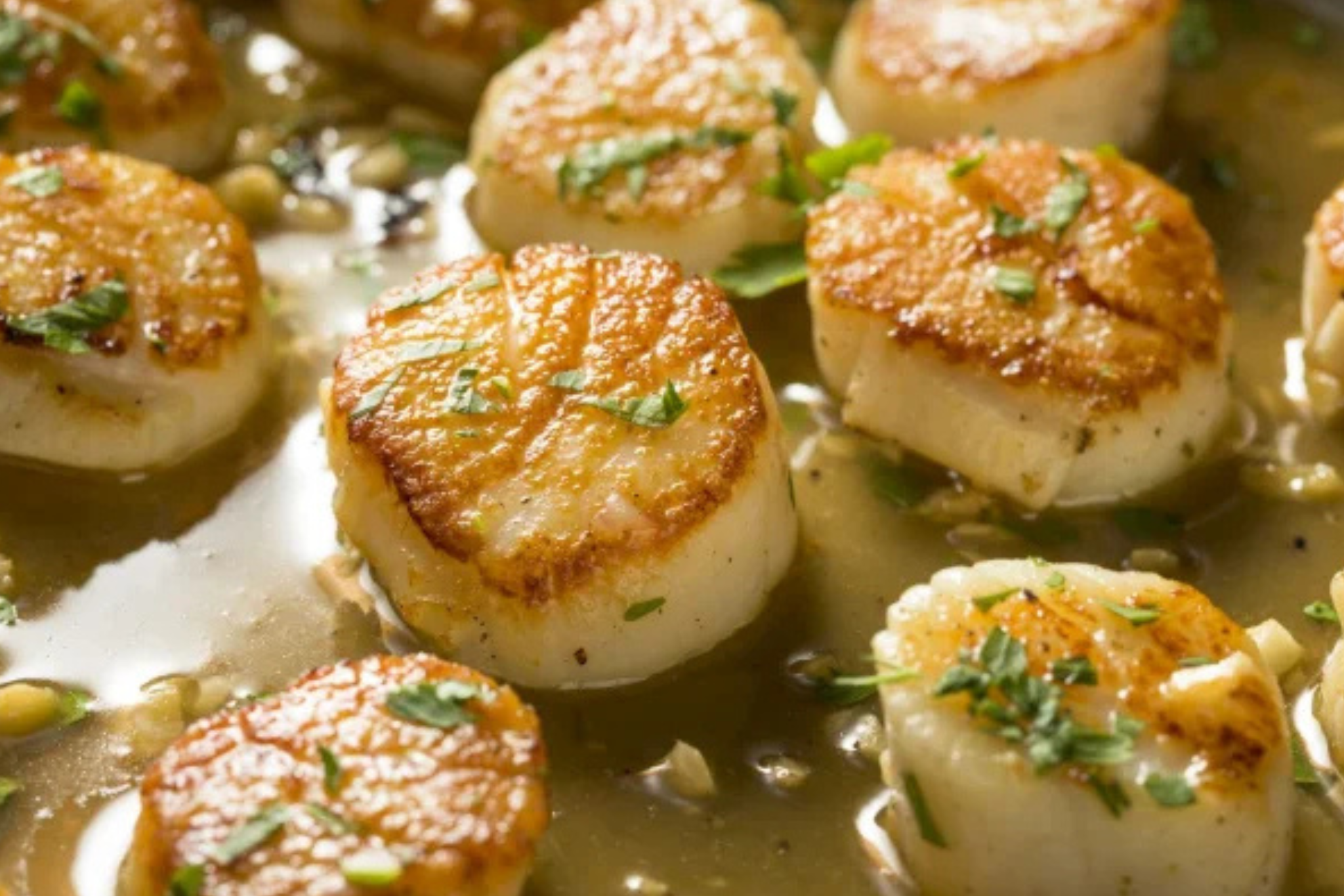 Морські гребінці з беконом і чебрецем - фото 1