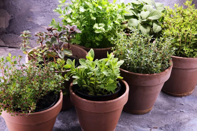 Мороз здатен зіпсувати майно за одну ніч: 5 речей, які взимку краще терміново забрати - фото 591999