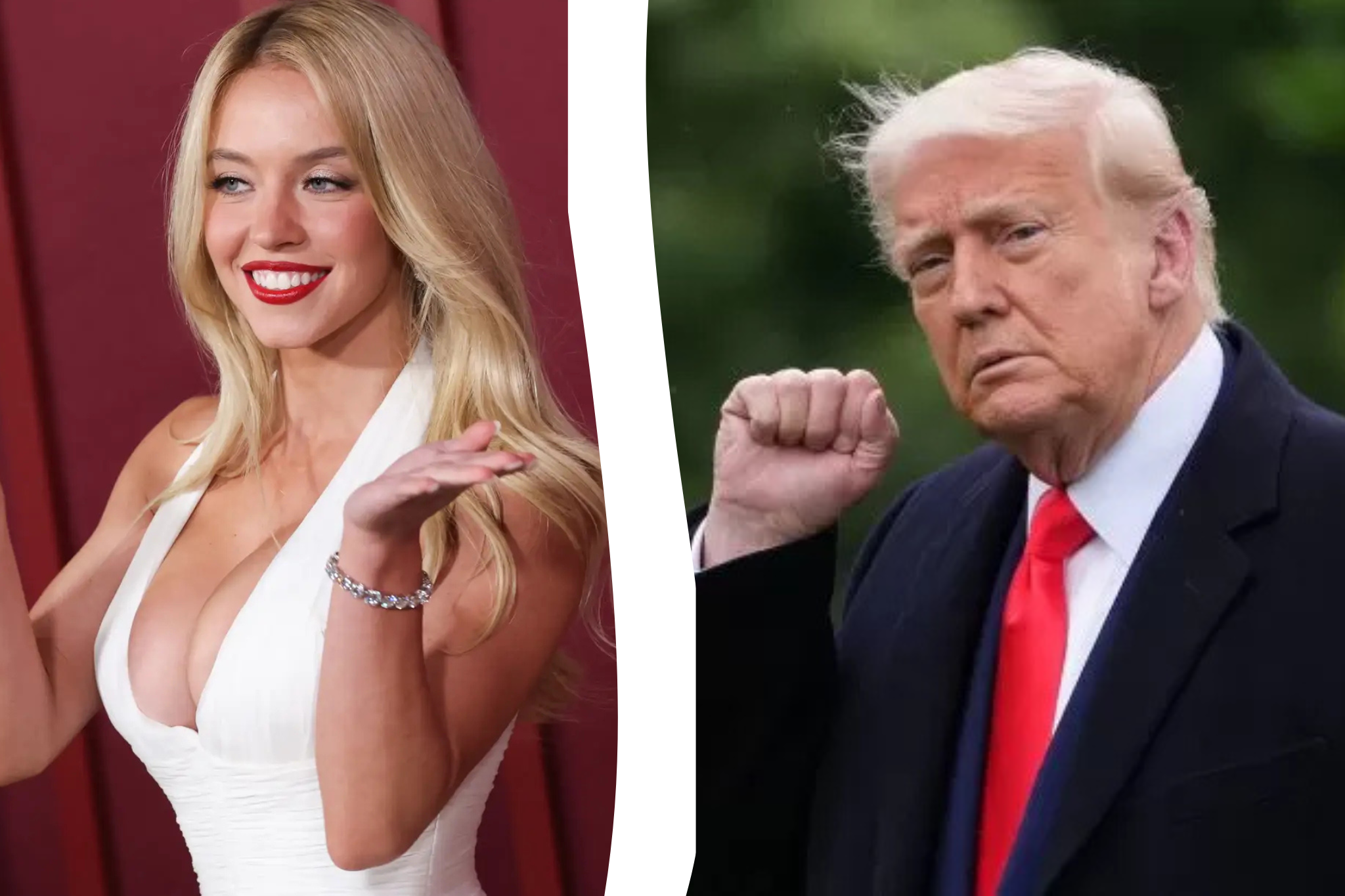 Сідні Свіні обурена через ярлик 