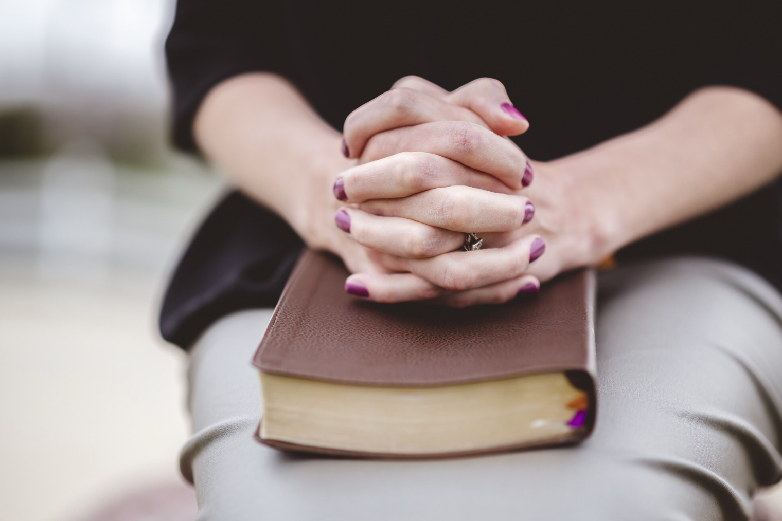 Вшанування ікони Божої Матері "Віднайдення загиблих" - фото 1