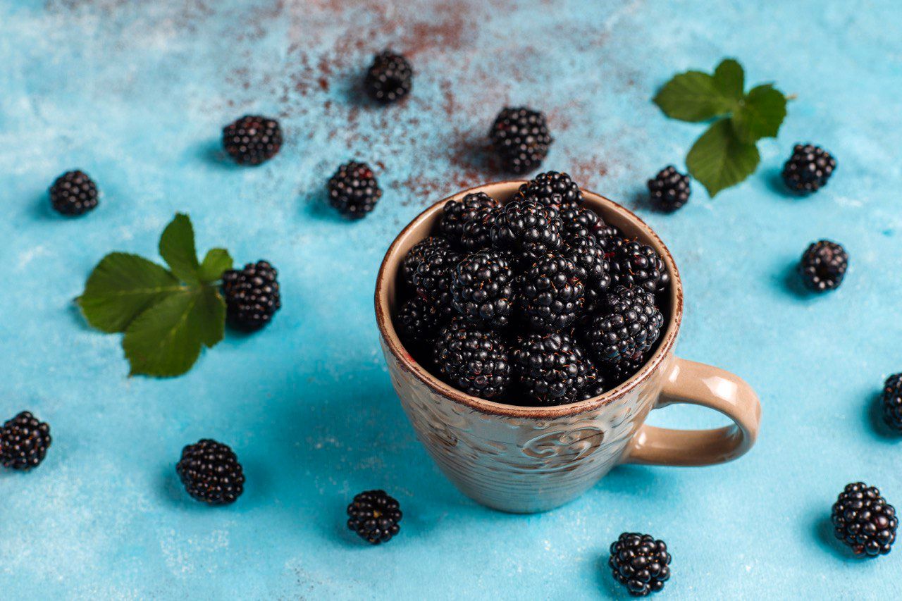 Як зробити домашнє вино з ожини - фото 1