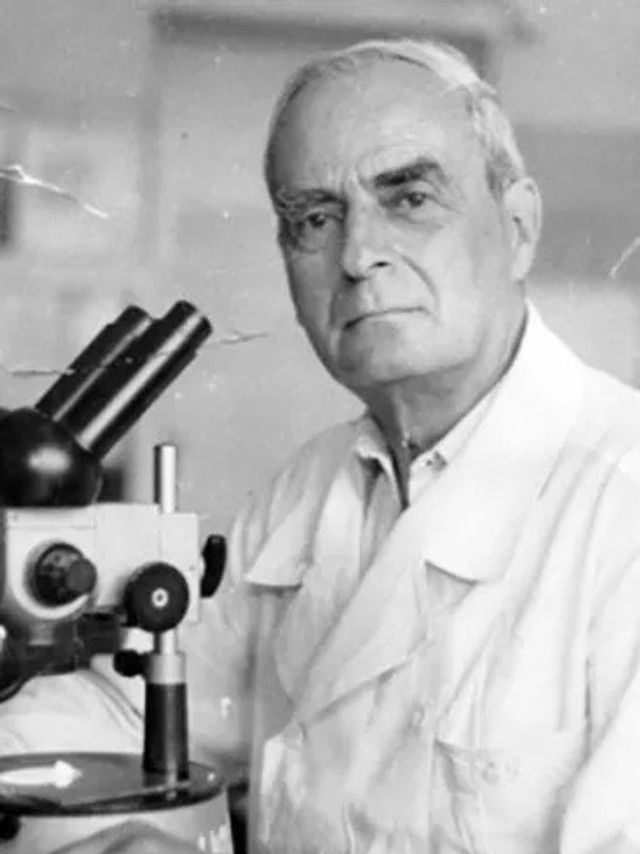 Яке свято відзначають 11 лютого: традиції, заборони і прикмети на цей день - фото 595448