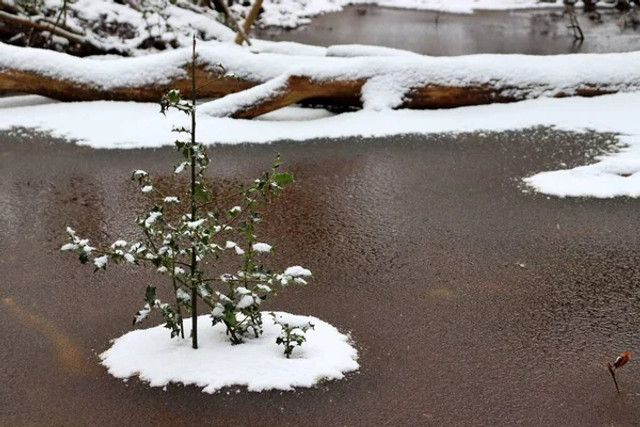 Як поводитися на льоду взимку: правила безпеки, які можуть врятувати життя - фото 596748