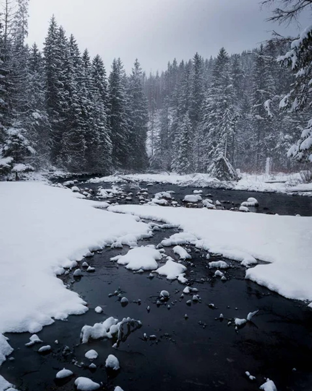 Як поводитися на льоду взимку: правила безпеки, які можуть врятувати життя - фото 596749