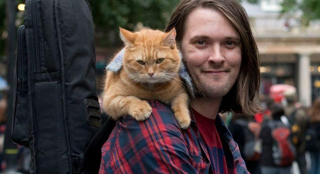 День кота: історія свята, цікаві факти та найвідоміші коти світу - фото 597641