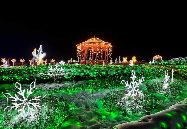 Добропарк - фото 597650