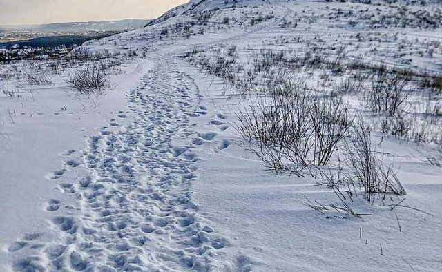 Планерна гора - фото 597659