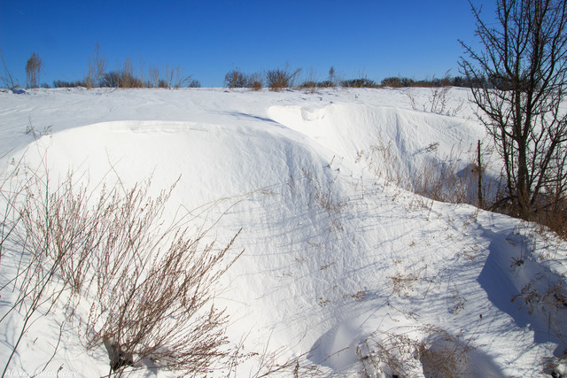 Васильківські Карпати - фото 597660