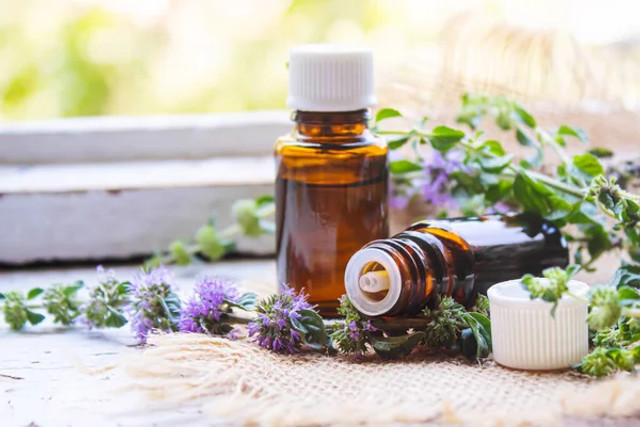 Невидимі вороги у квартирі: 6 речей, які тихо псують повітря в домі - фото 598192