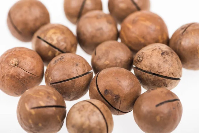 Топ-5 небезпечних продуктів для собак: чим не можна годувати улюбленця - фото 598201