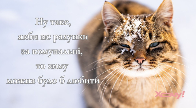 Привітання з останнім днем зими 2026 - фото 598851