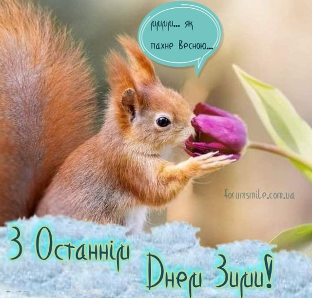 Привітання з останнім днем зими 2026 - фото 598852