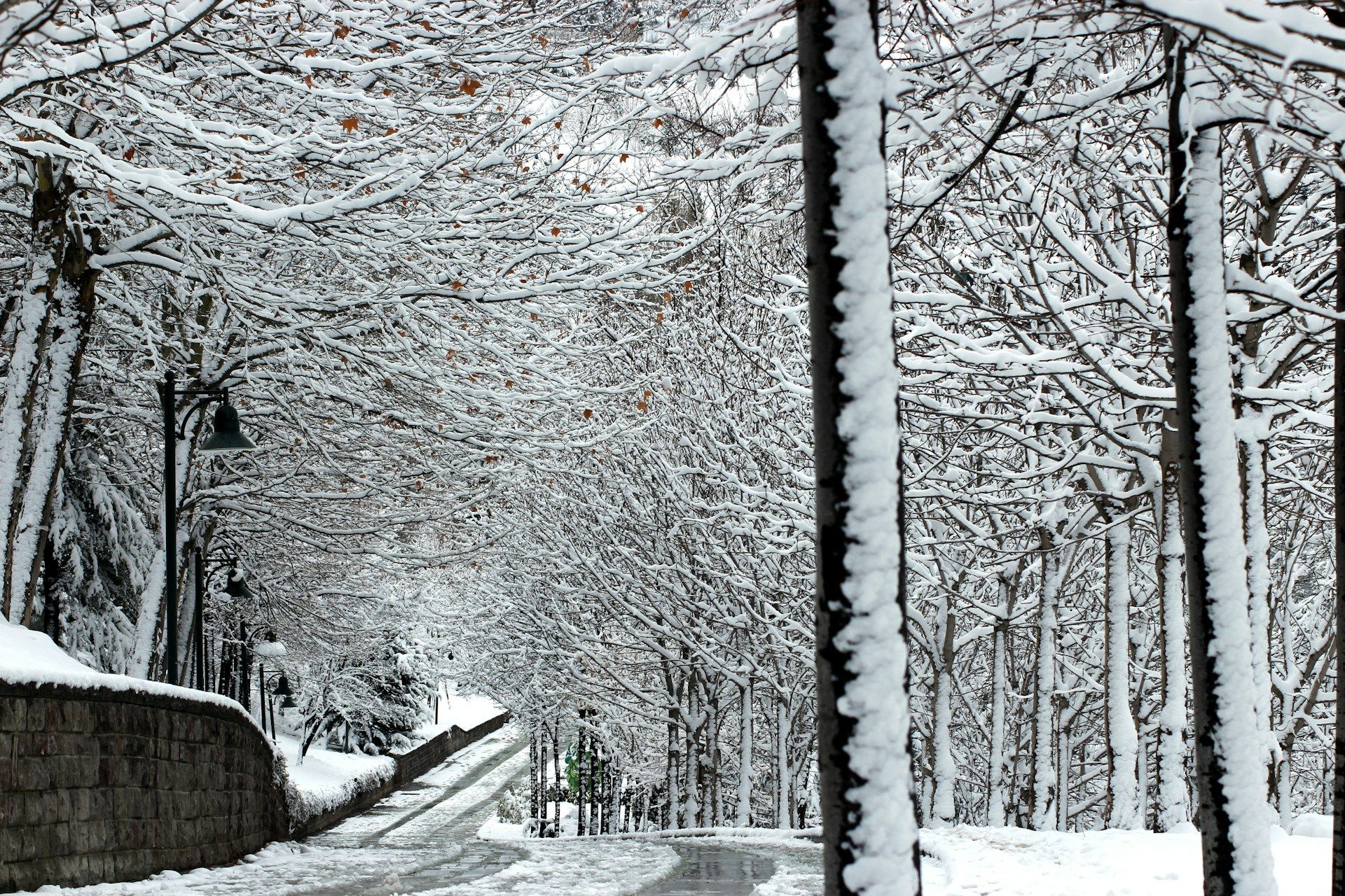 Останній день зими - фото 1