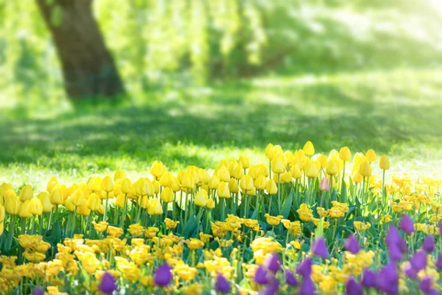 Цитати про березень: слова, які передають настрій пробудження, надії та нових початків - фото 598878